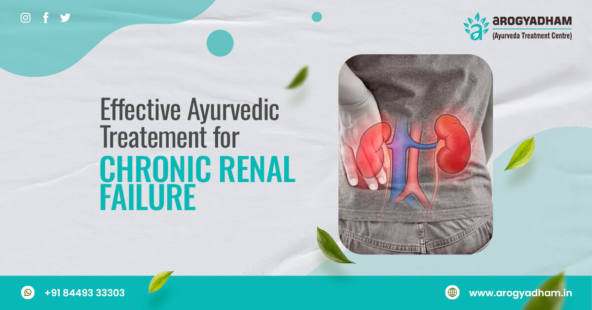 Ayurvedic Treatment For Chronic Kidney Disease In India