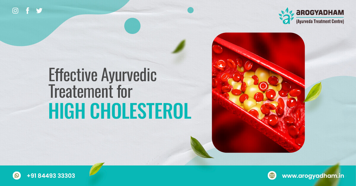 Ayurvedic Treatment For High Cholesterol In India