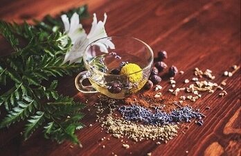 Medicinal Plants And Herbs
