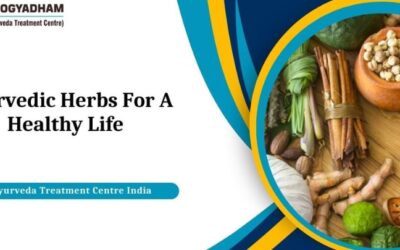 Ayurvedic Herbs For A Healthy Life