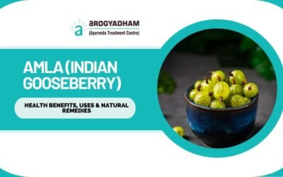 Amla (Indian Gooseberry): Health Benefits, Uses & Natural Remedies