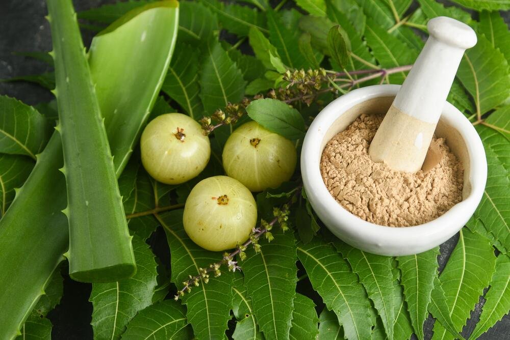 Amla (Indian gooseberry) powder