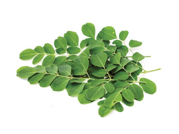 Moringa Leaves
