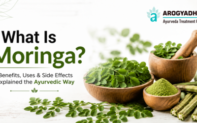 home 1 What Is Moringa? Benefits, Uses & Side Effects Explained the Ayurvedic Way