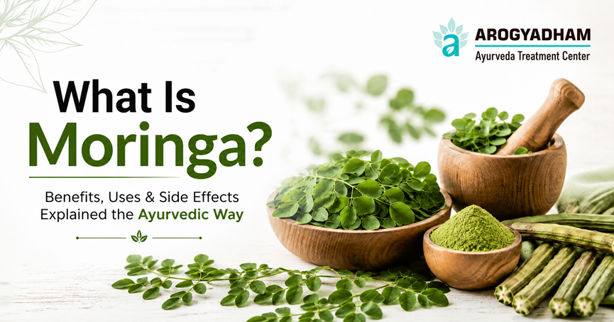 What Is Moringa?