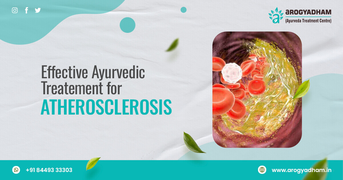 Ayurvedic Treatment For Atherosclerosis In Abha