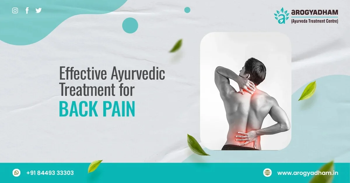 Ayurvedic Treatment For Back Pain In Chandel